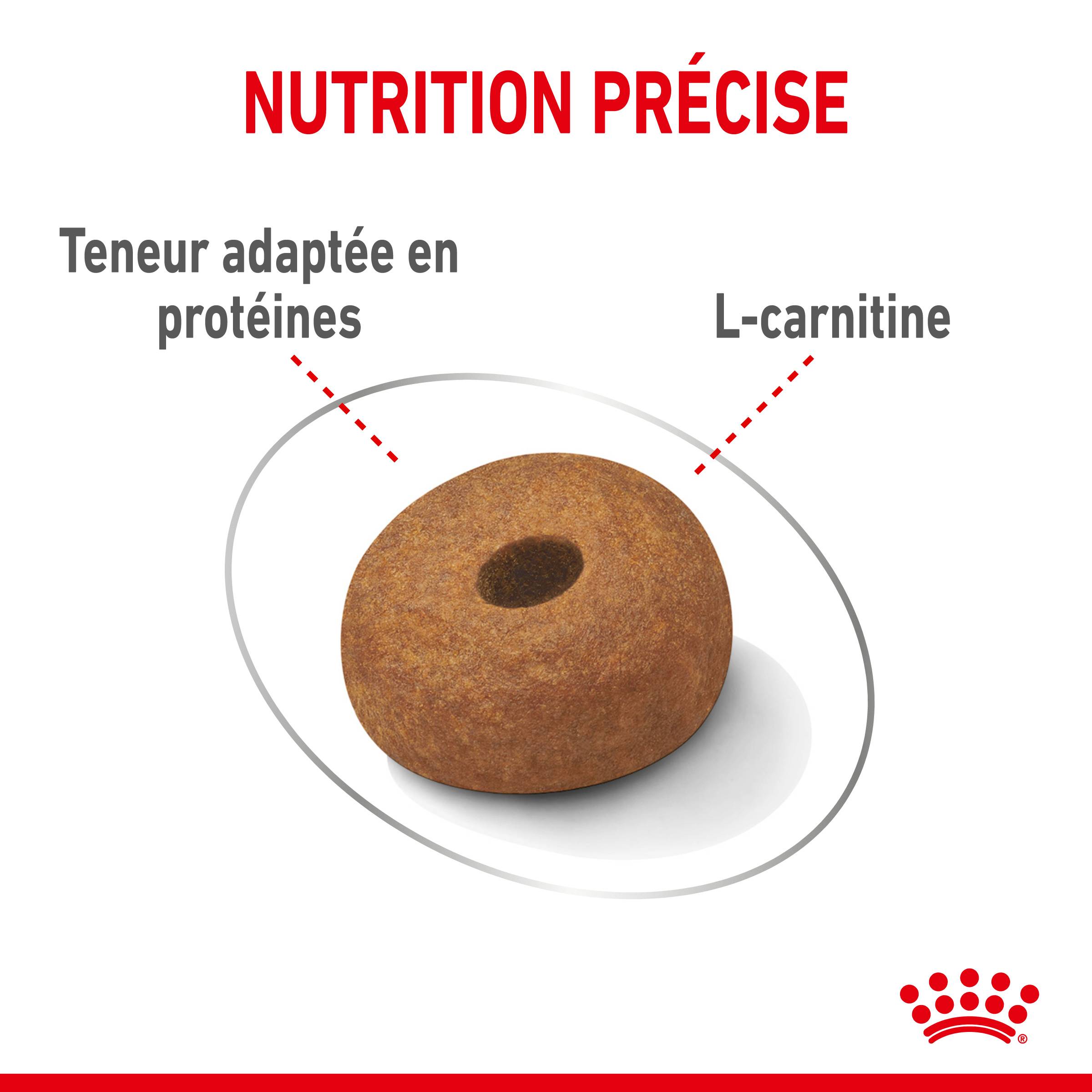 Royal Canin - Croquettes chien Care Maxi Light Weight - ROYAL CANIN - Image 7