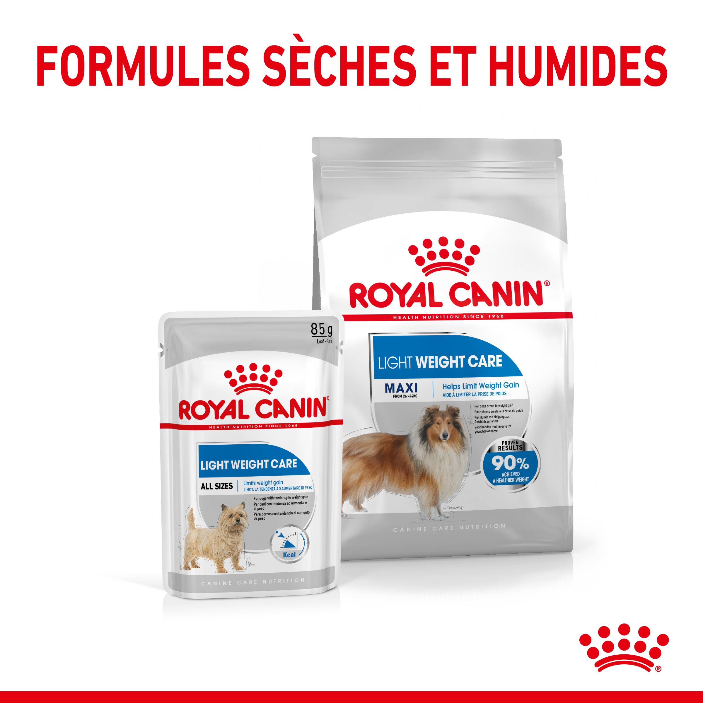 Royal Canin - Croquettes chien Care Maxi Light Weight - ROYAL CANIN - Image 5