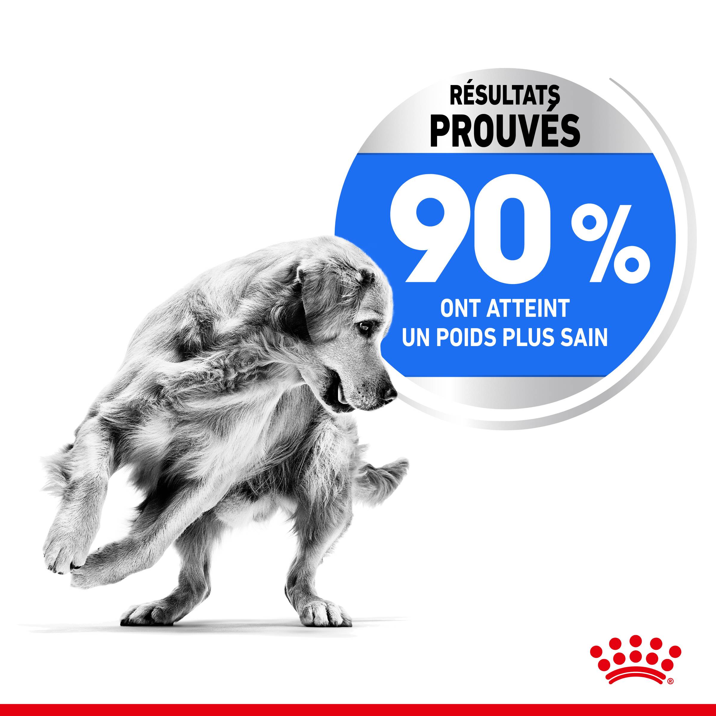 Royal Canin - Croquettes chien Care Maxi Light Weight - ROYAL CANIN - Image 6