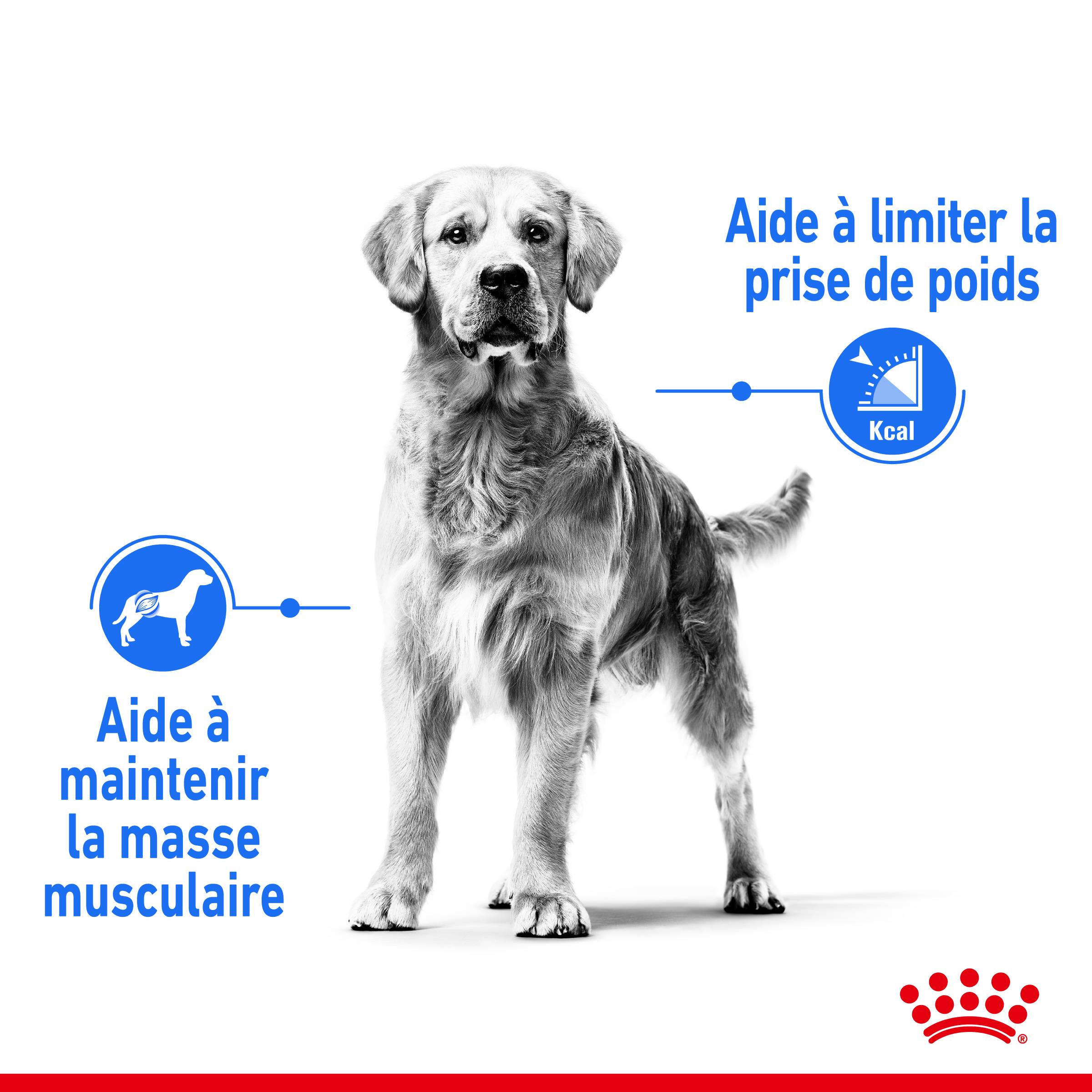 Royal Canin - Croquettes chien Care Maxi Light Weight - ROYAL CANIN - Image 3
