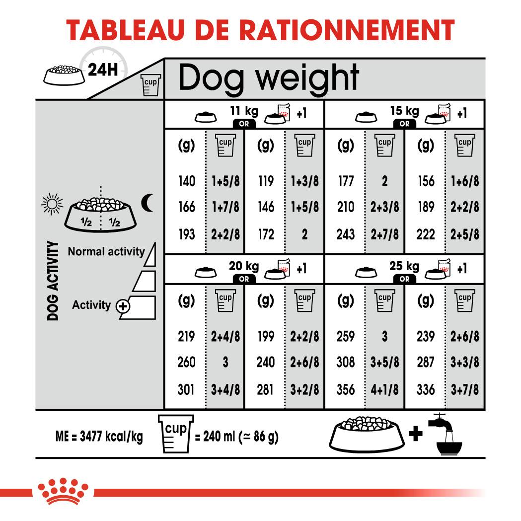 Royal Canin - Croquettes pour chien Medium Sterilised - ROYAL CANIN - Image 7