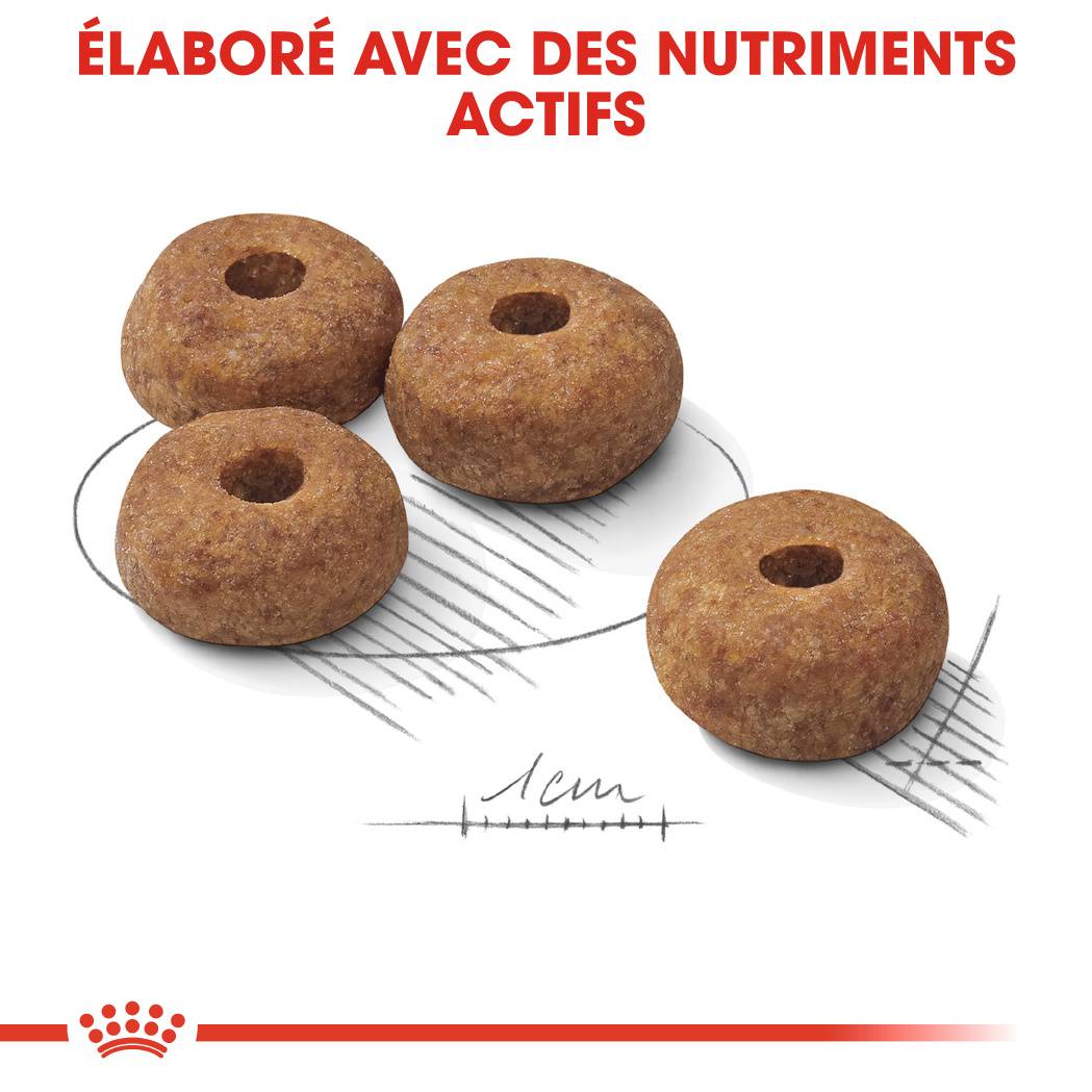 Royal Canin - Croquettes pour chien Medium Sterilised - ROYAL CANIN - Image 5