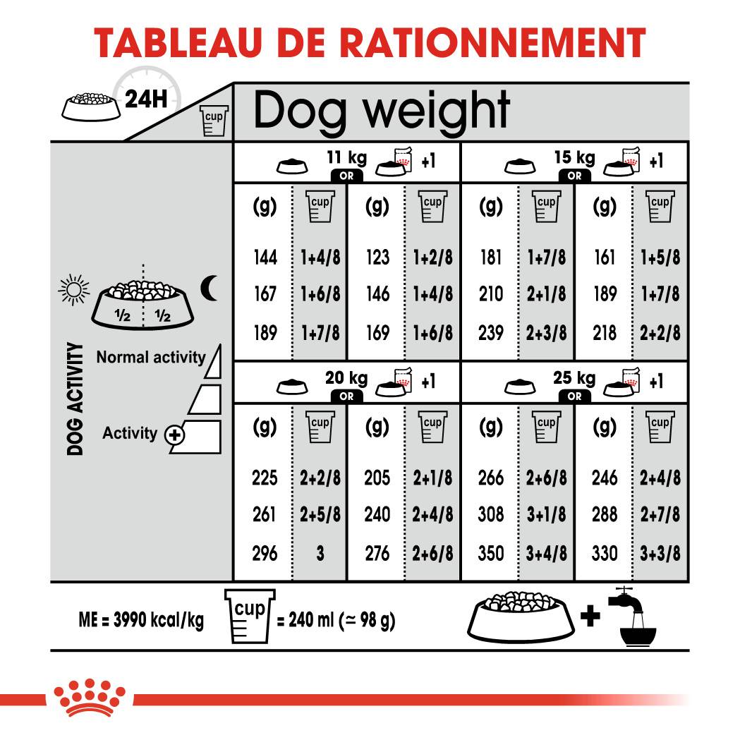 Royal Canin - Croquettes Medium Digestive Care - ROYAL CANIN - Image 2