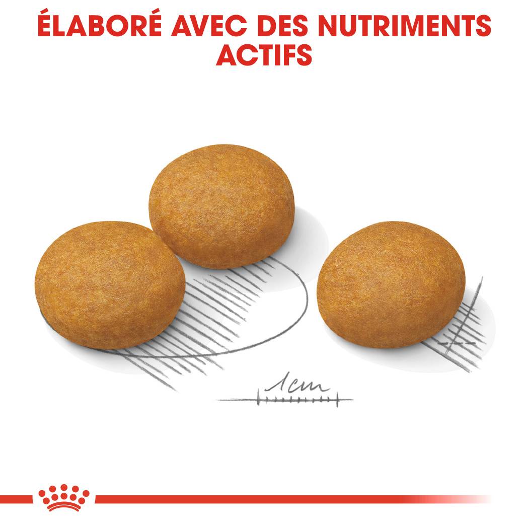 Royal Canin - Croquettes Pour Chien - ROYAL CANIN - Image 6