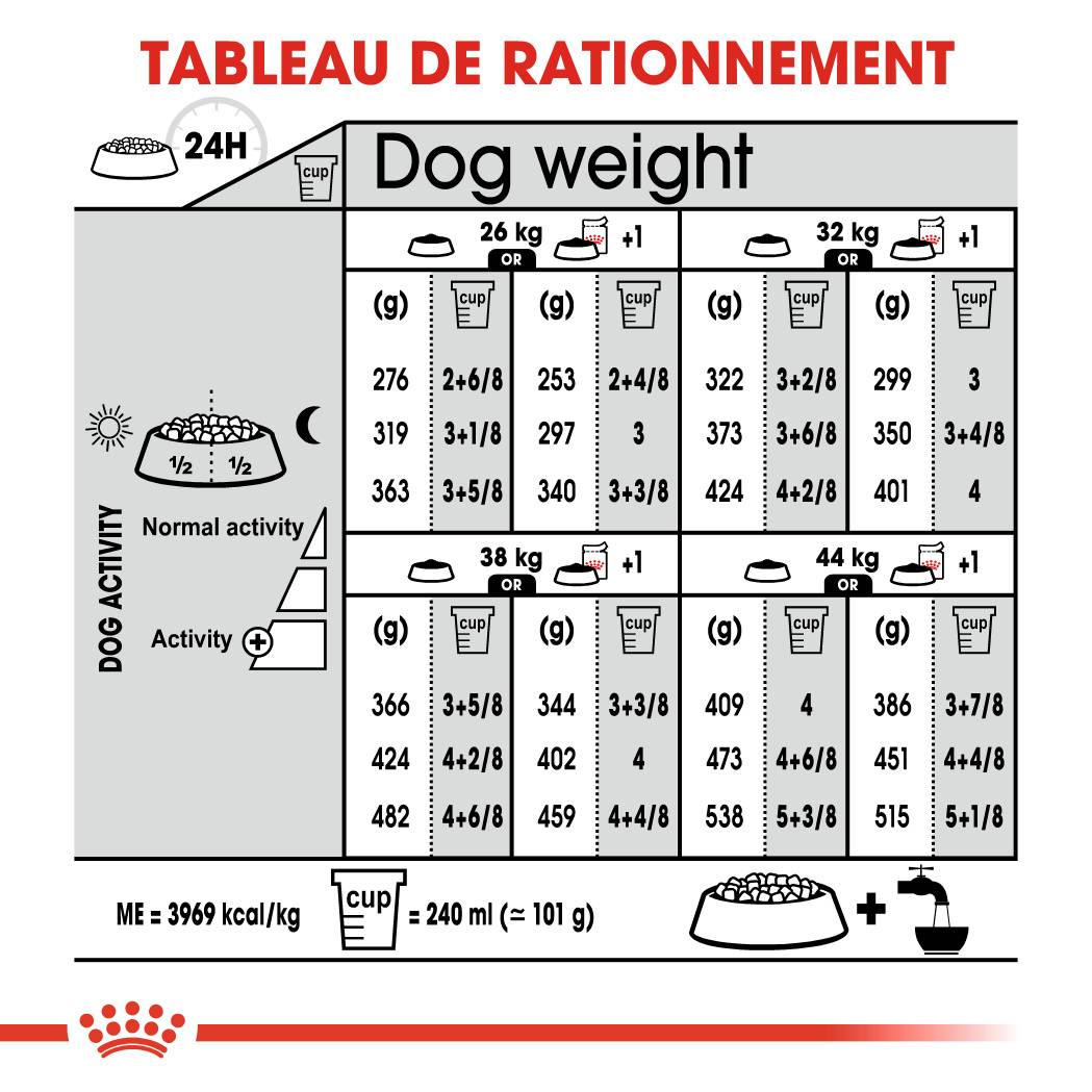Royal Canin - Croquettes Pour Chien - ROYAL CANIN - Image 4
