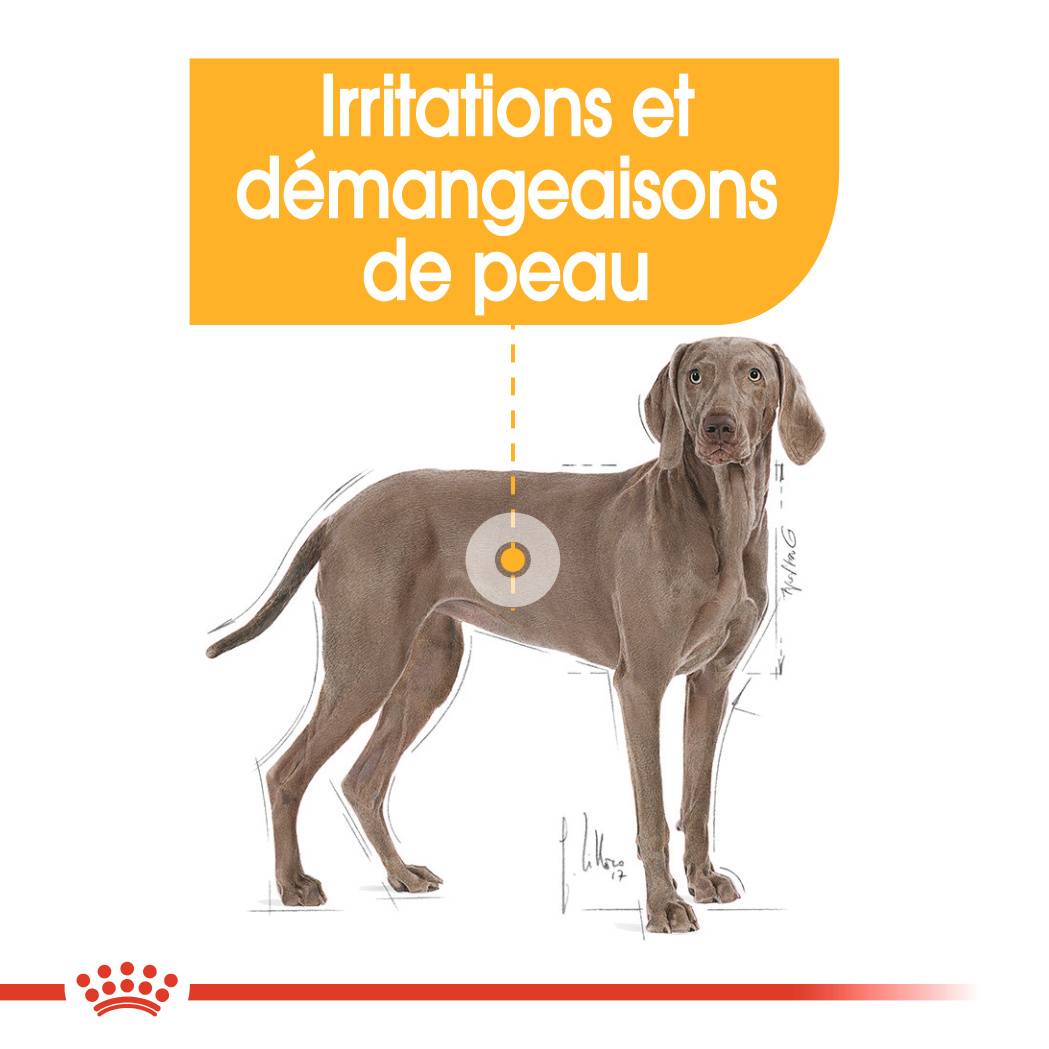 Royal Canin - Croquettes Pour Chien - ROYAL CANIN - Image 8