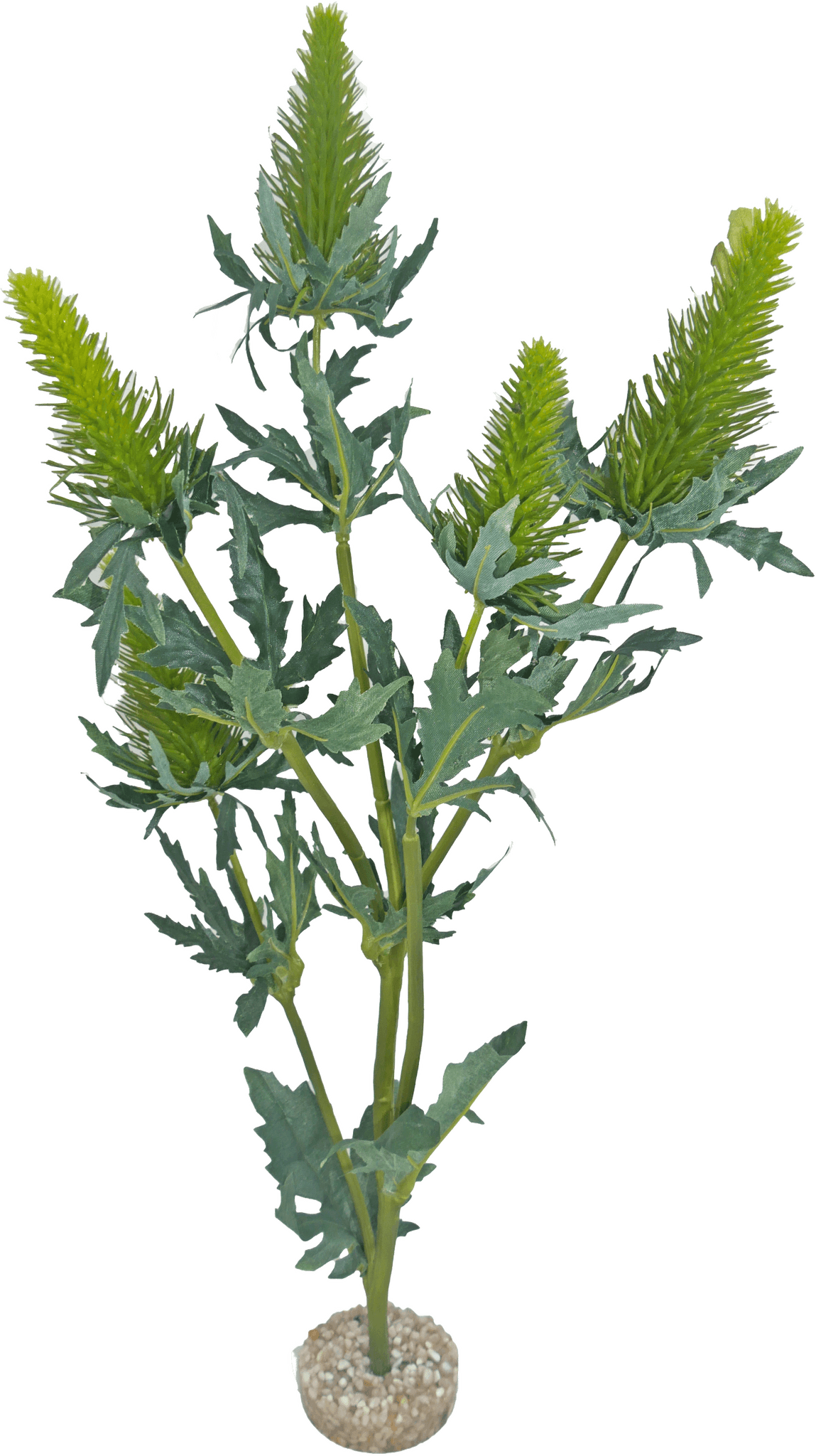 Labéo - Labéo - Décor artificiel Chardon Vert - Ø.15 x H.42 cm - Image 2