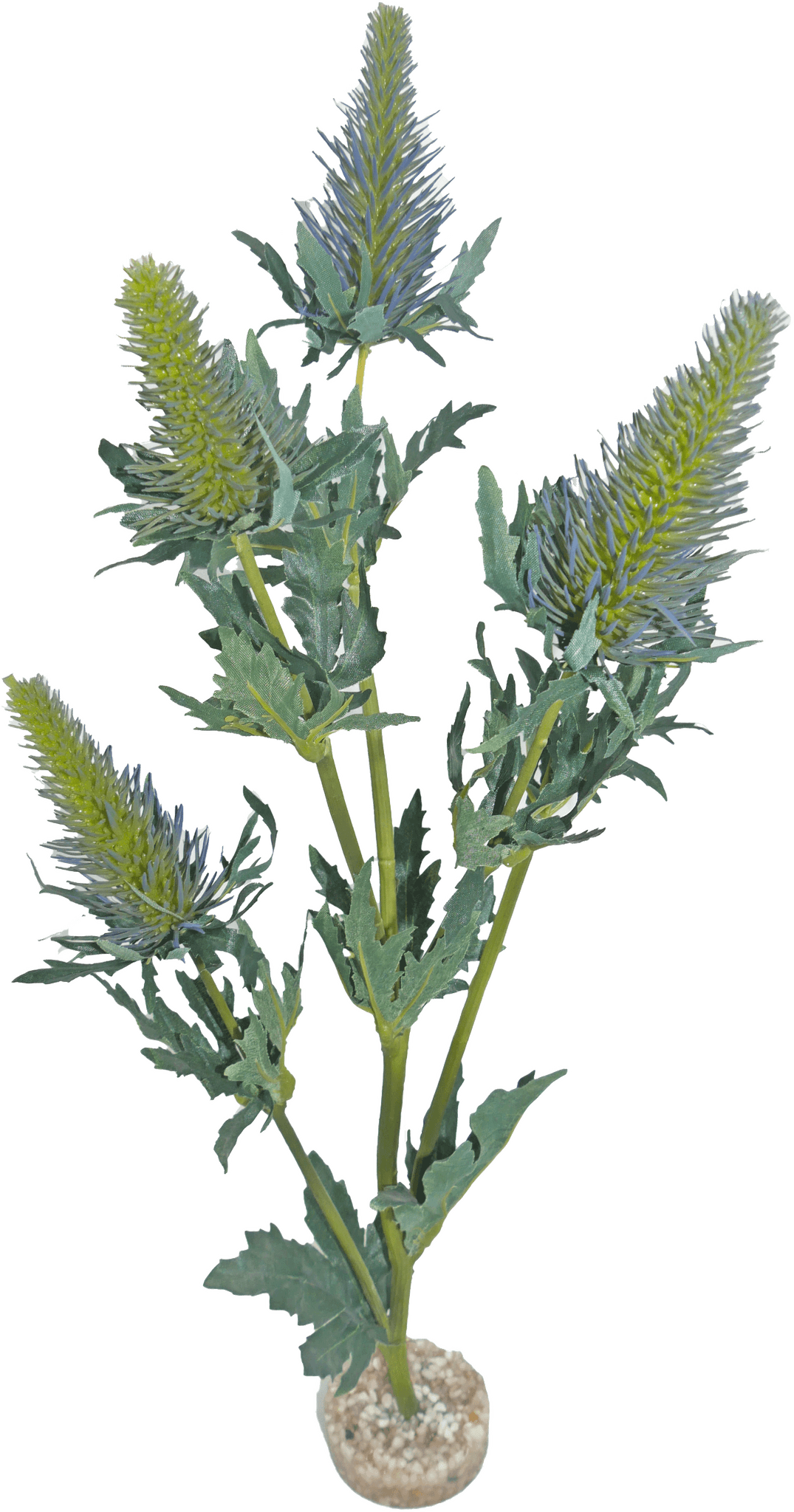 Labéo - Labéo - Décor artificiel Chardon Vert - Ø.15 x H.42 cm - Image 1
