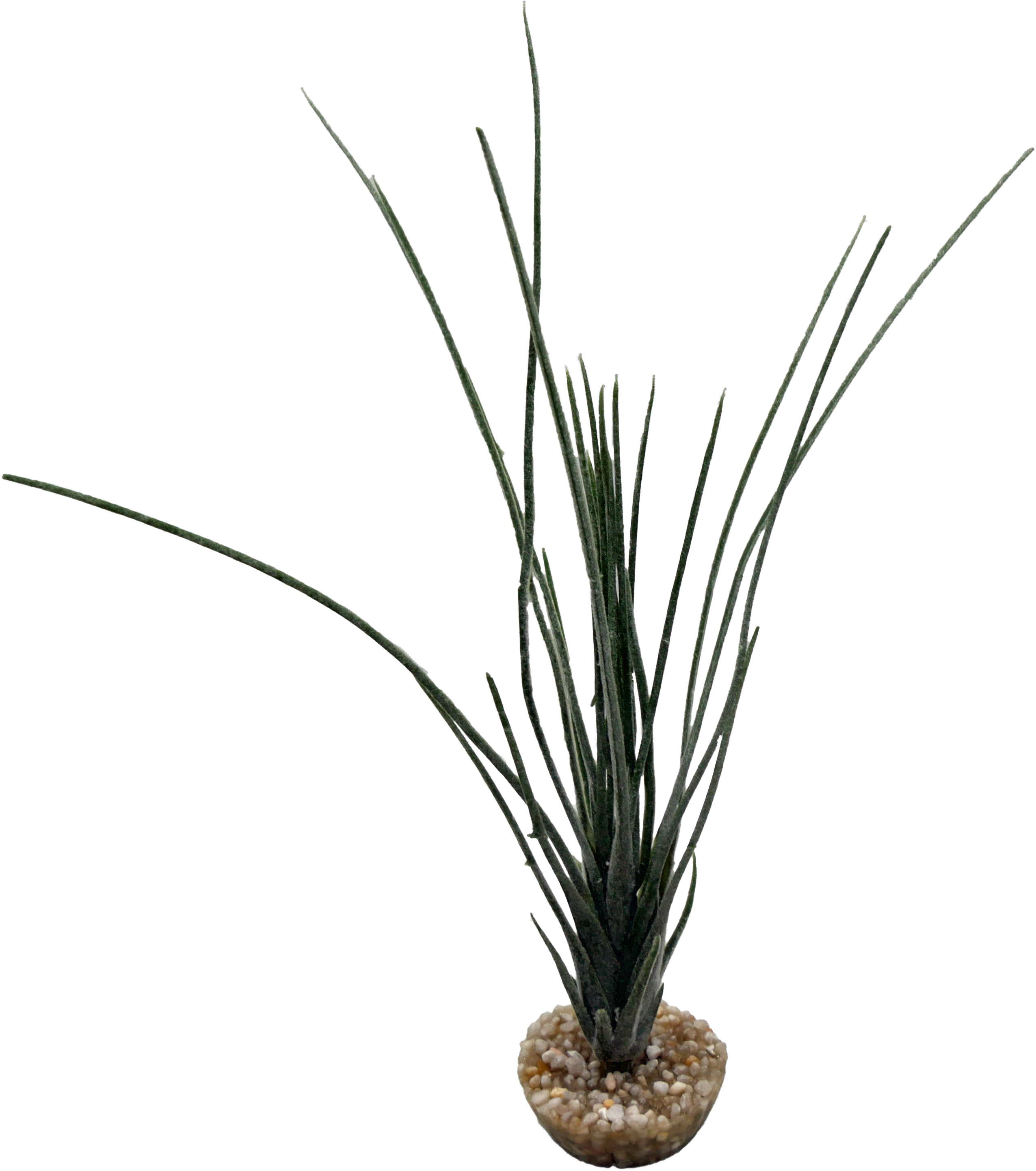 Labéo - Plante artificielle Tillandsia - H.25 cm - Labéo