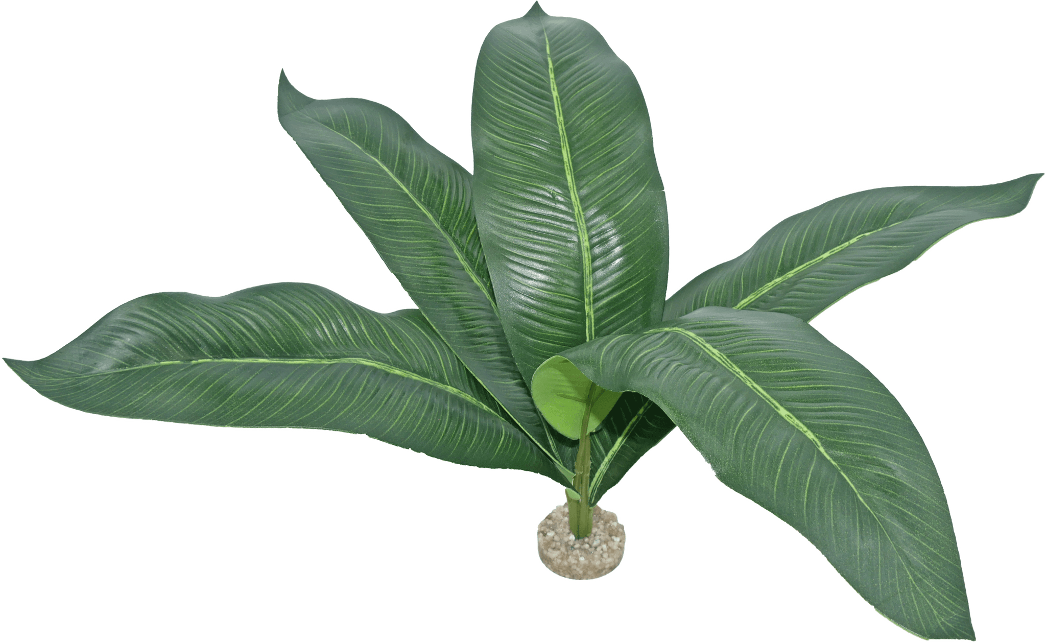 Labéo - Labéo - Décor artificiel Plante pour terrarium - Ø.40 x H.46 cm - Image 3