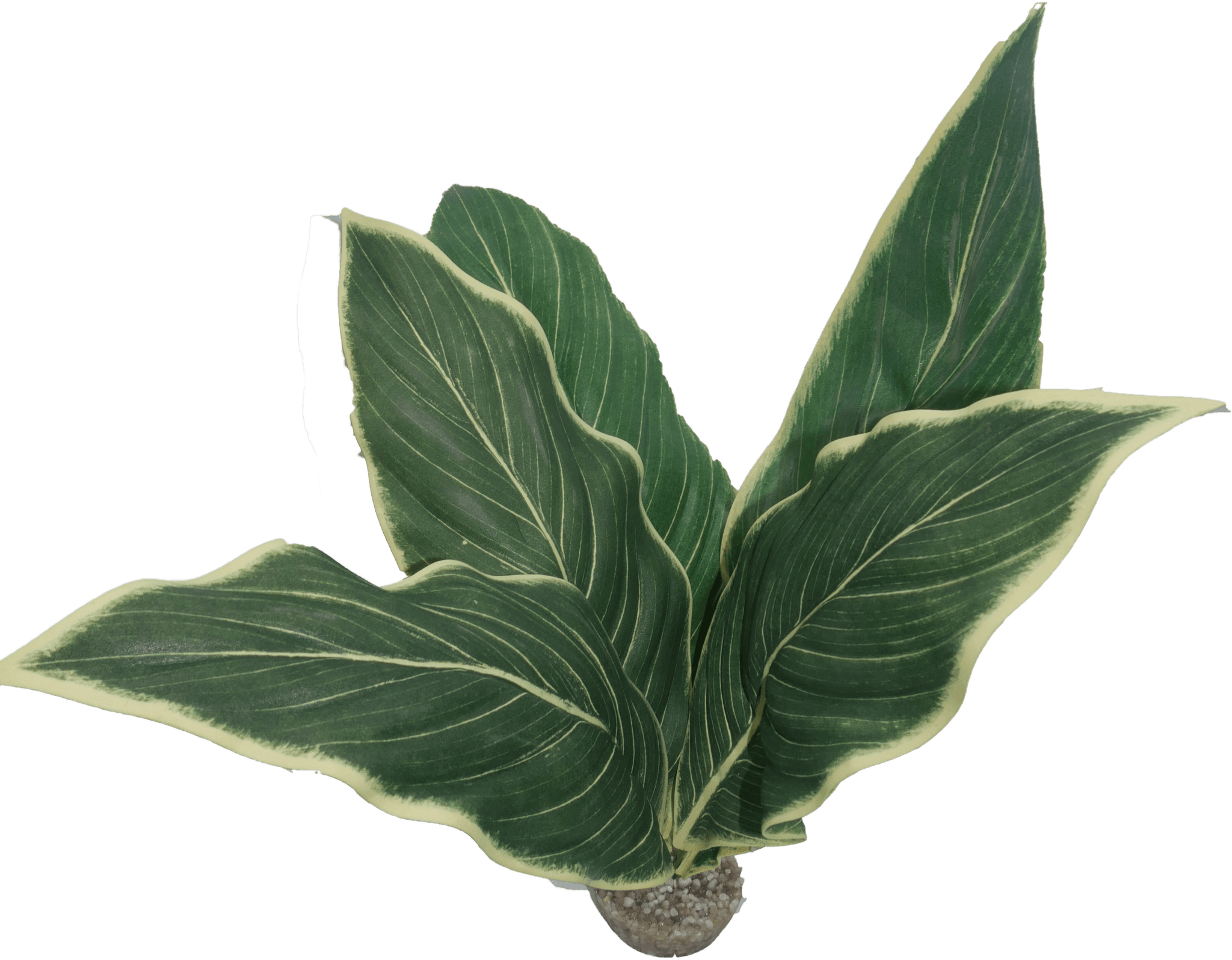 Labéo - Labéo - Décor artificiel Plante pour terrarium - Ø.40 x H.46 cm - Image 2