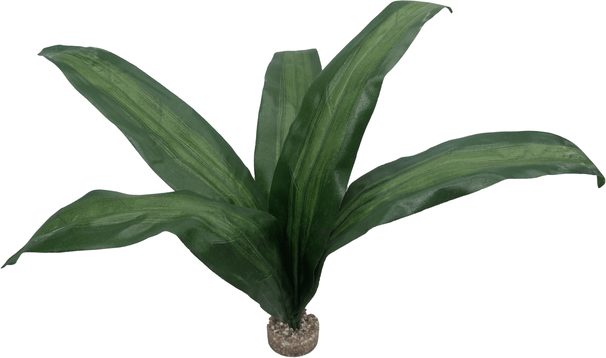 Labéo - Labéo - Décor artificiel Plante pour terrarium - Ø.40 x H.46 cm - Image 4