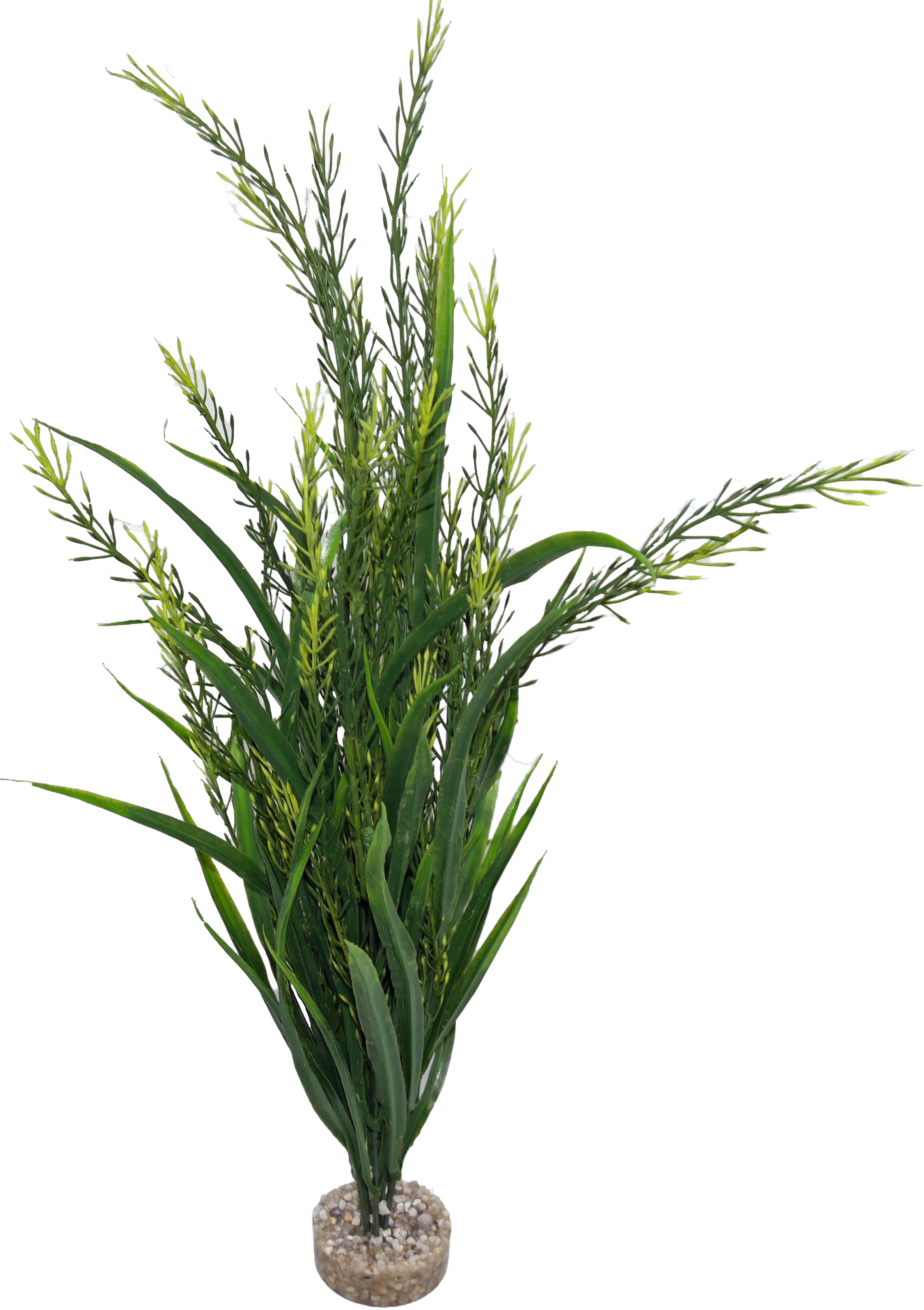 Labéo - Plante artificielle Elodea grand modèle - H.46 cm - Labéo