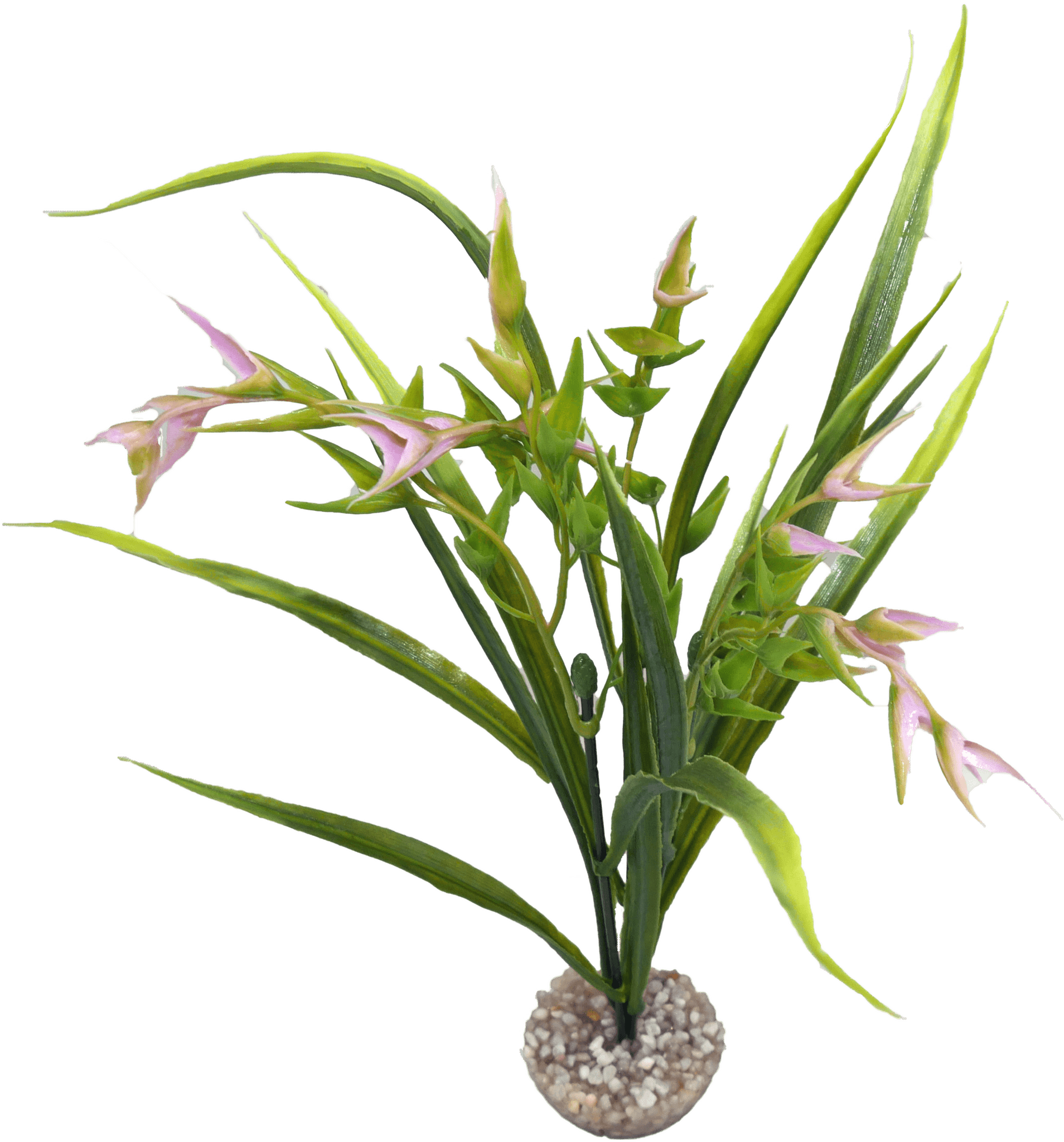 Labéo - Labéo - Décor artificiel Tillandsia Vert et Rose - Ø.27 x H.24 cm