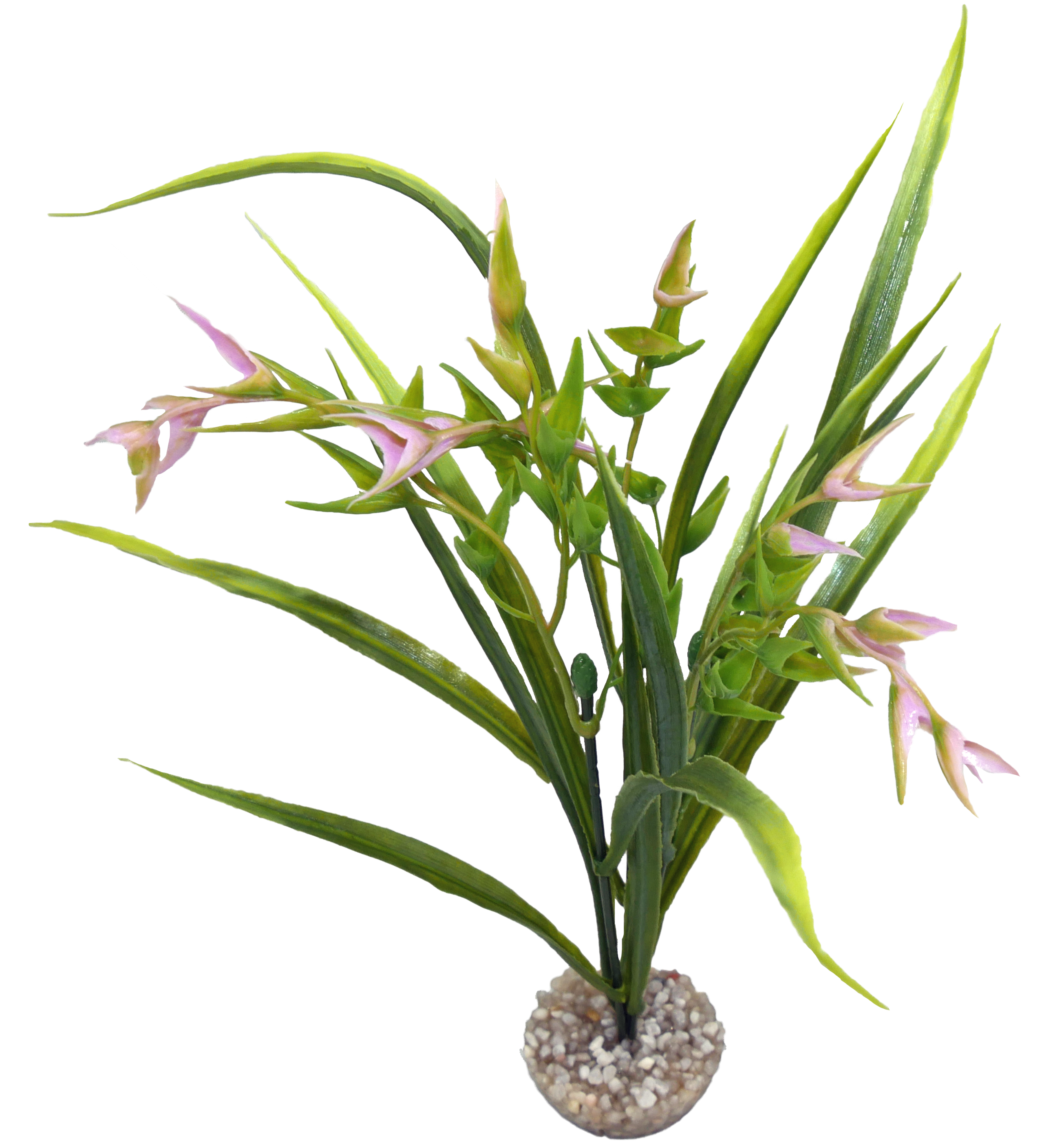 Labéo - Labéo - Décor artificiel Tillandsia Vert et Rose - Ø.27 x H.24 cm - Image 2