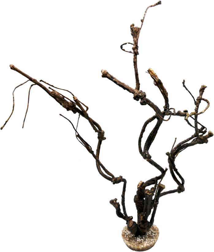 Labéo - Labéo - Décor Twig grand modèle Marron - l.18 x P.8 x H.36 cm