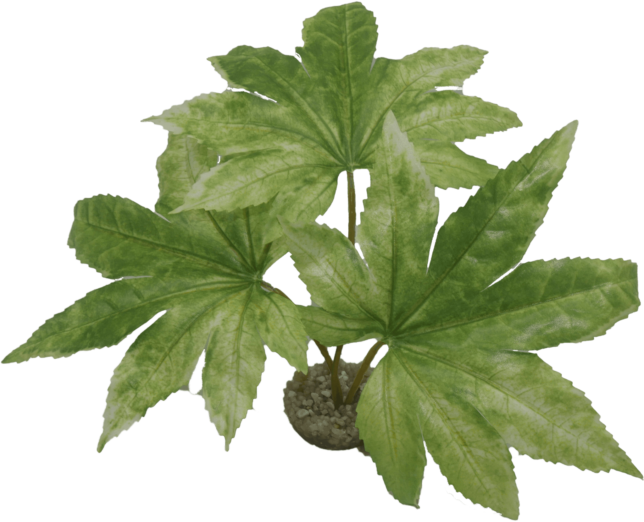 Labéo - Labéo - Décor artificiel de Plantes variées Ø.25 x H.20 cm - Image 2