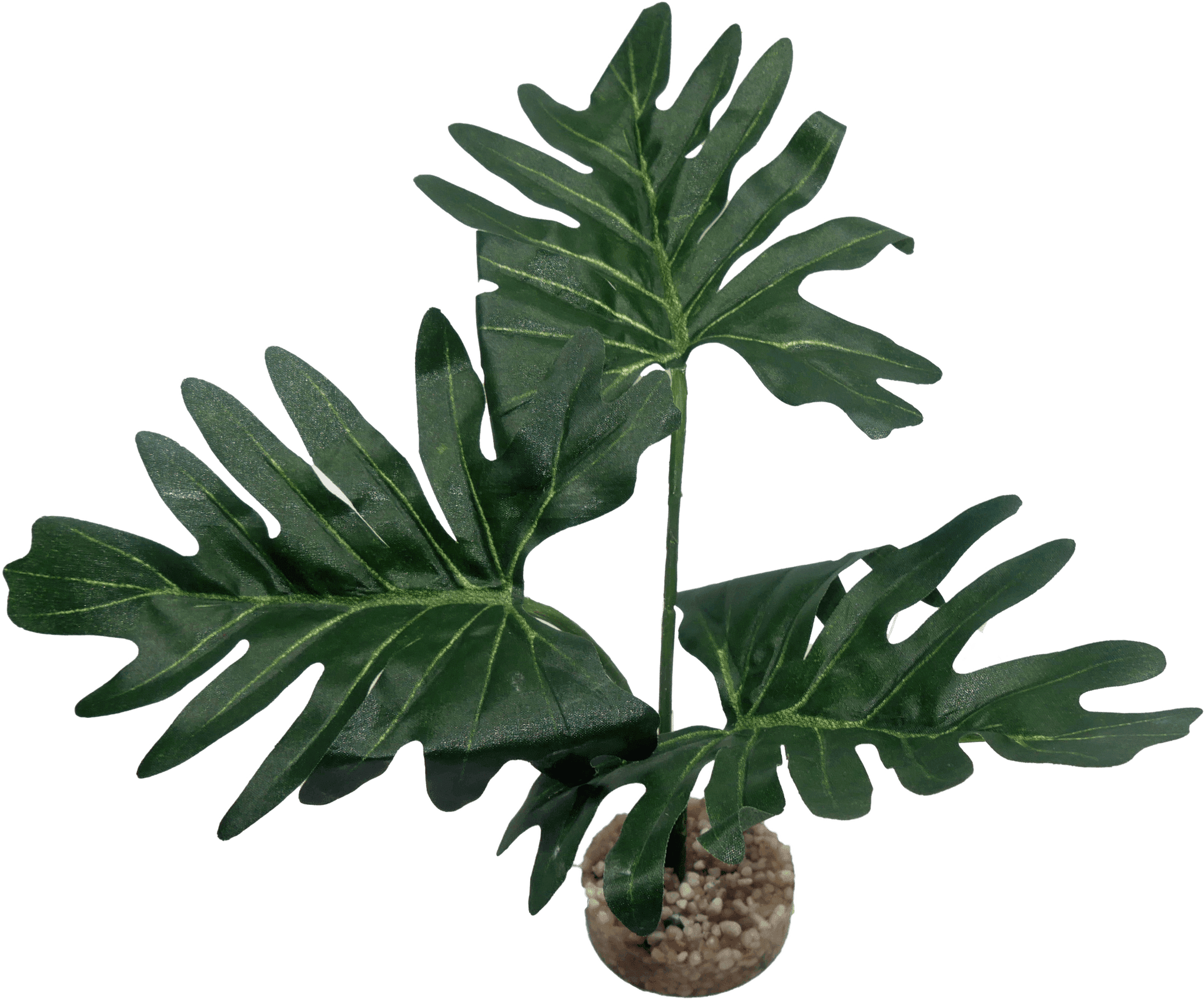 Labéo - Labéo - Décor artificiel de Plantes variées Ø.25 x H.20 cm - Image 1