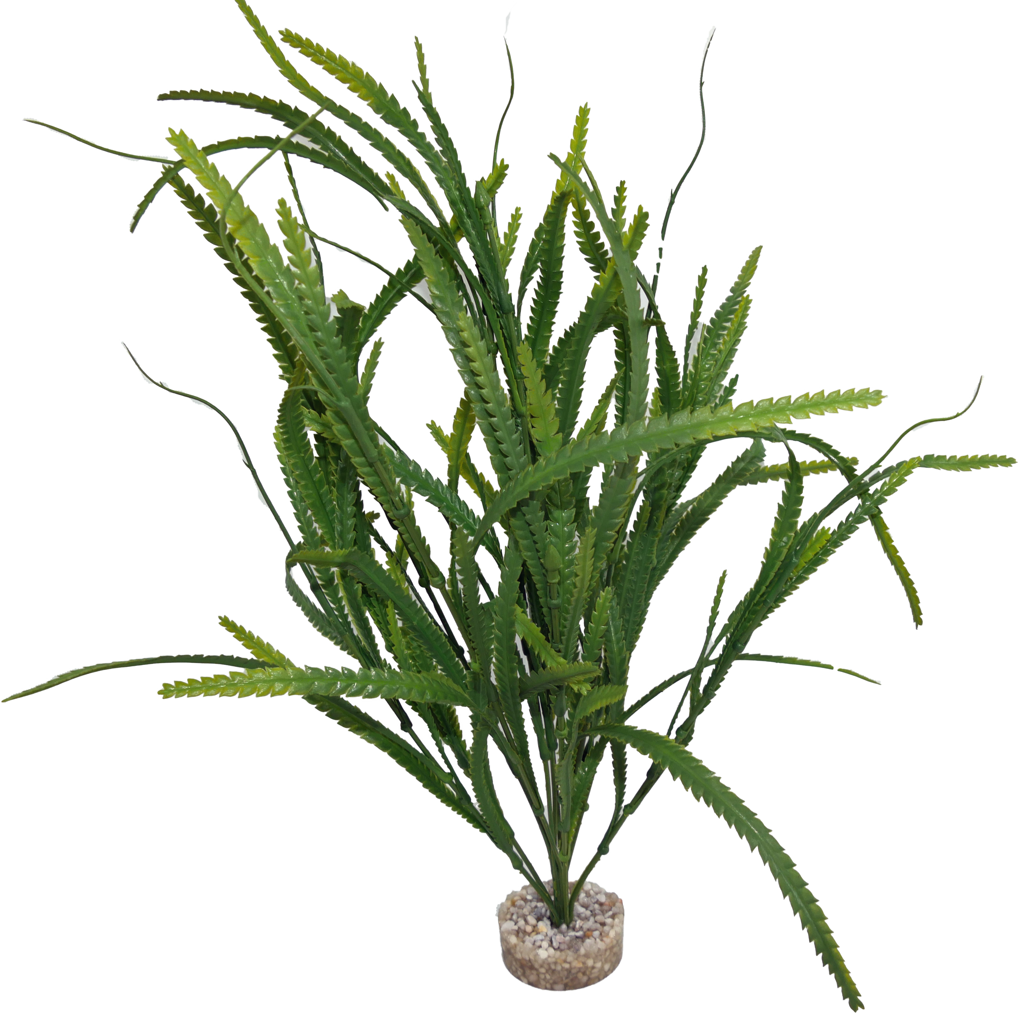 Labéo - Plante artificielle Aponogeton verte grand modèle - H. 36 cm - Labéo