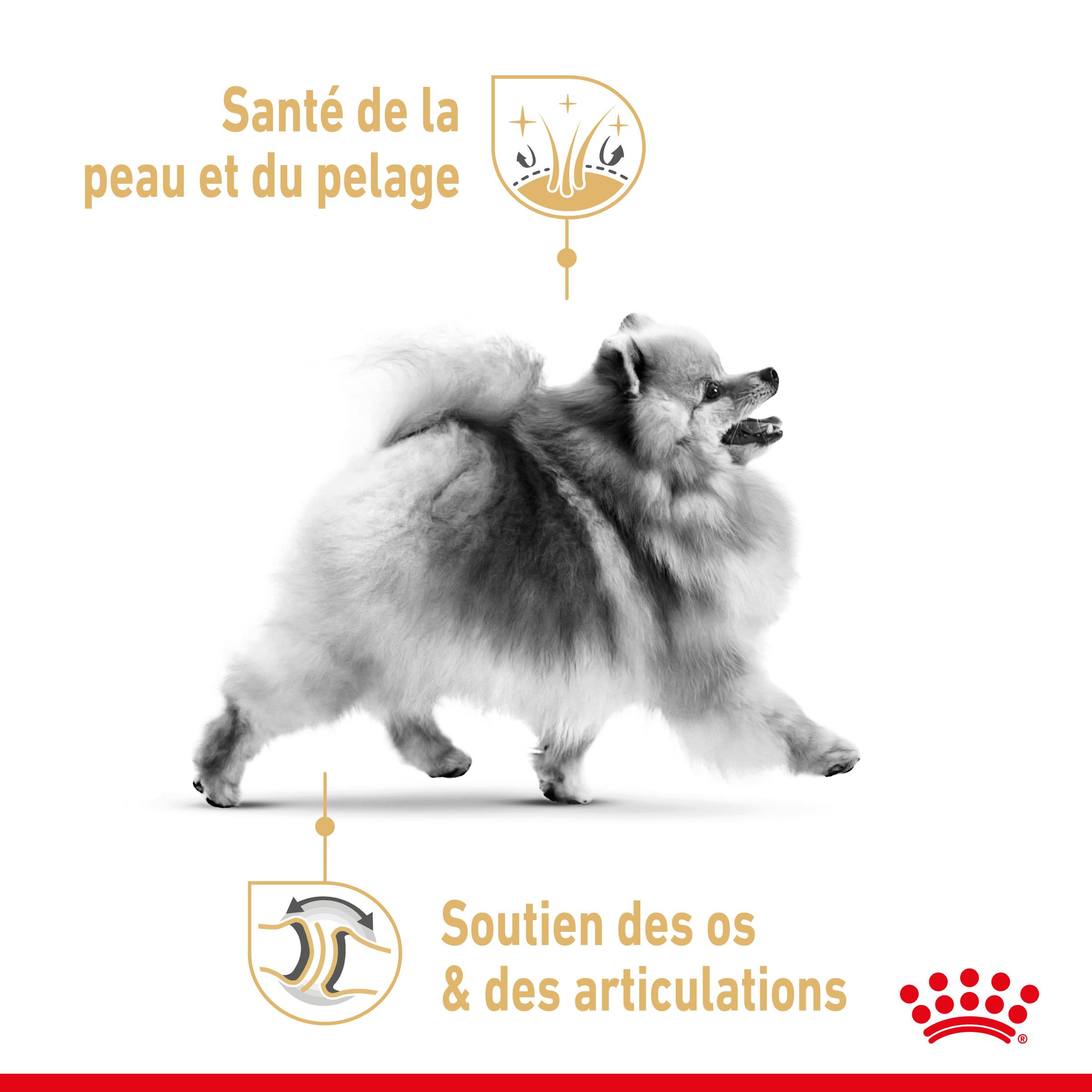 Royal Canin - Nourriture Sèche Pour Chiens Pomeranian - ROYAL CANIN - Image 6