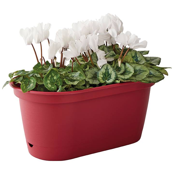 Ecloz - Ecloz - Jardinière à Réserve d'eau L'Autonome Rose Tropicale 50cm - Image 3