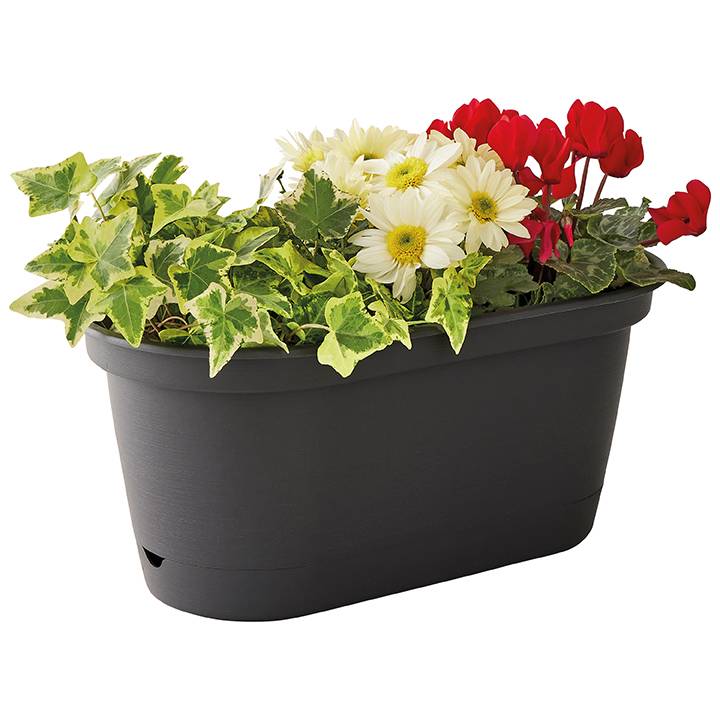 Ecloz - Ecloz - Jardinière à Réserve d'eau L'Autonome Anthracite 40cm - Image 4