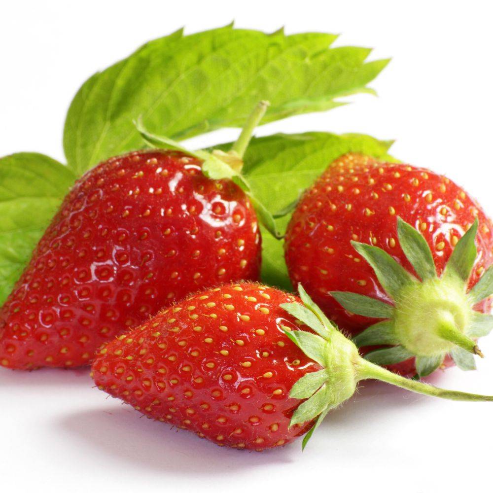 Fraisier 'Ciflorette'