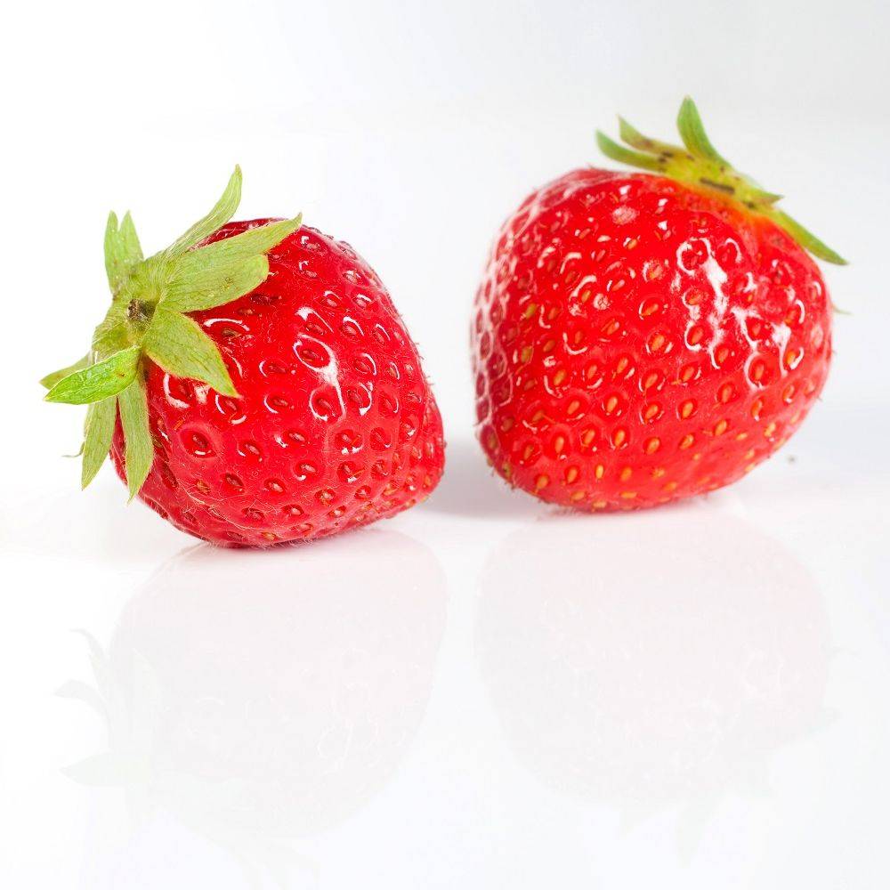 Fraisier 'Charlotte' - Image 17