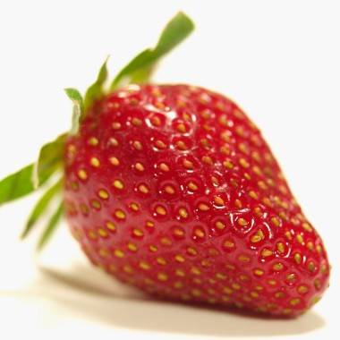 Fraisier 'Charlotte' - Image 8