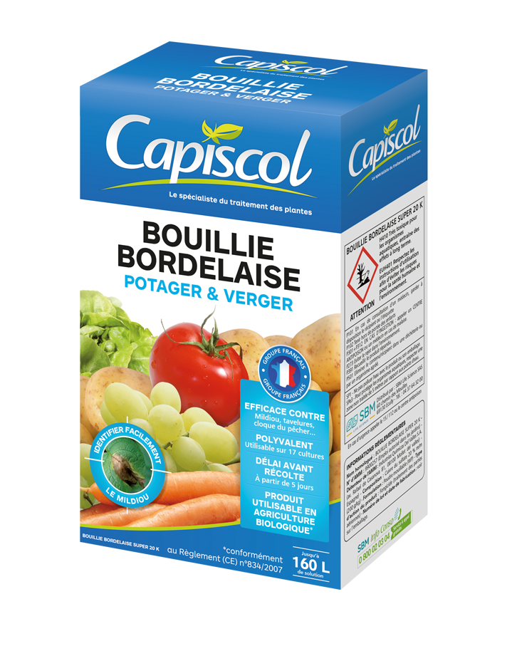 Capiscol-Novajardin - BOUILLIE BORDELAISE 1 KG CAP