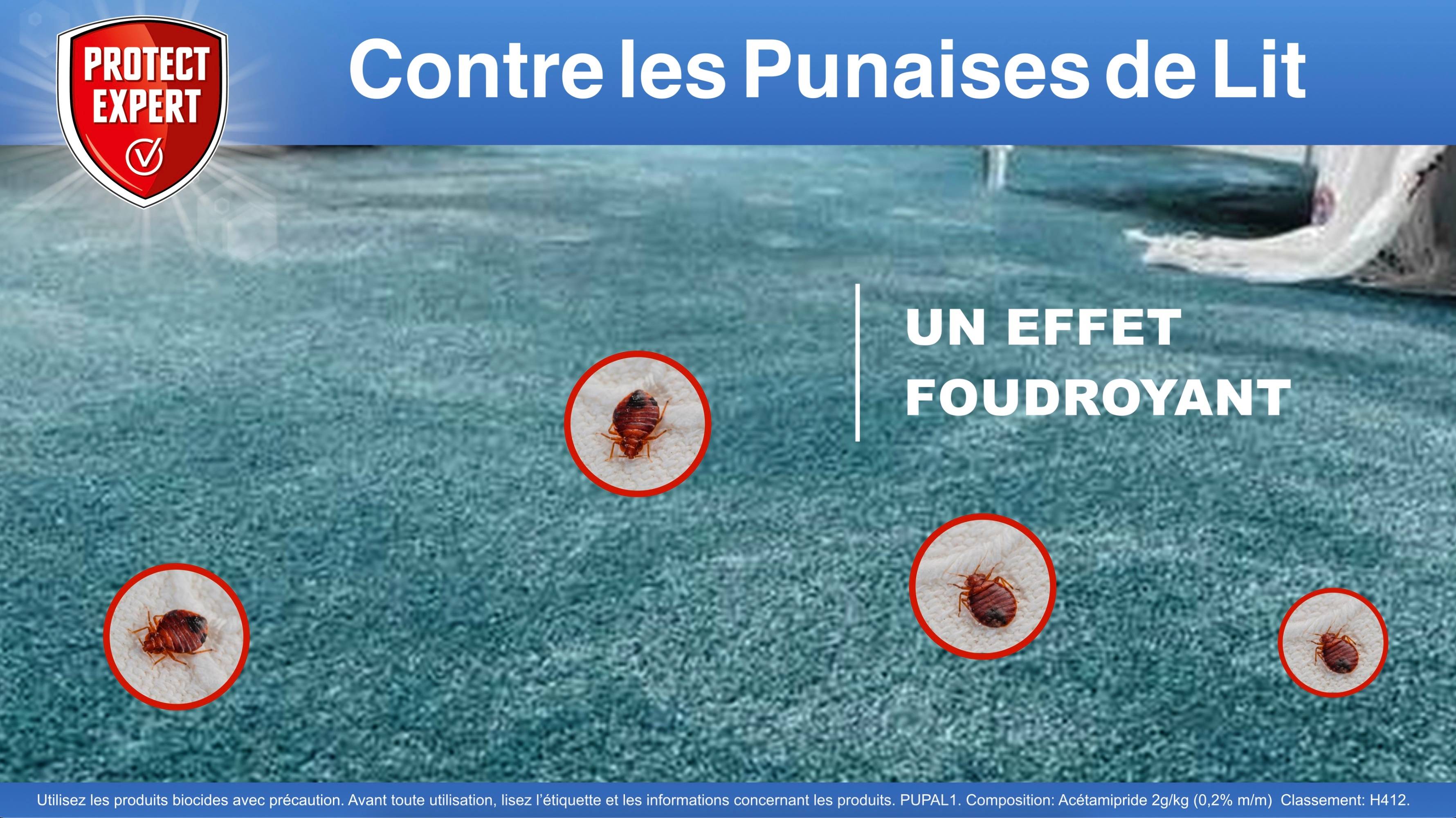 Protect Expert - Anti-punaises de lit - PROTECT EXPERT - Image 6