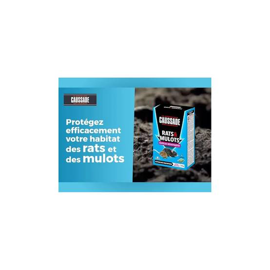 Caussade - Céréales rats et mulots espèces résistantes 150g - CAUSSADE - Image 2