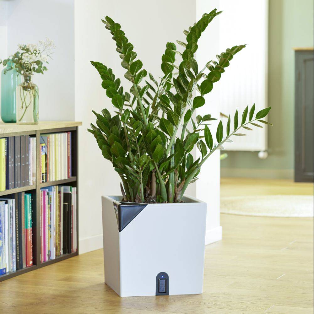 EDA Plastiques - Pot de fleurs carré AQUALIGHT - EDA
