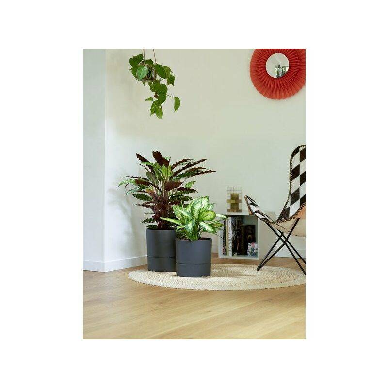 Pot rond gris anthracite – AQUADUO - Gamm vert