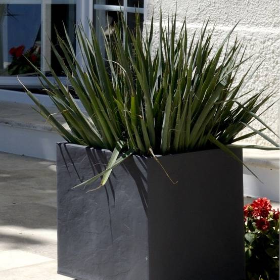 Pot Carré Volcania – EDA