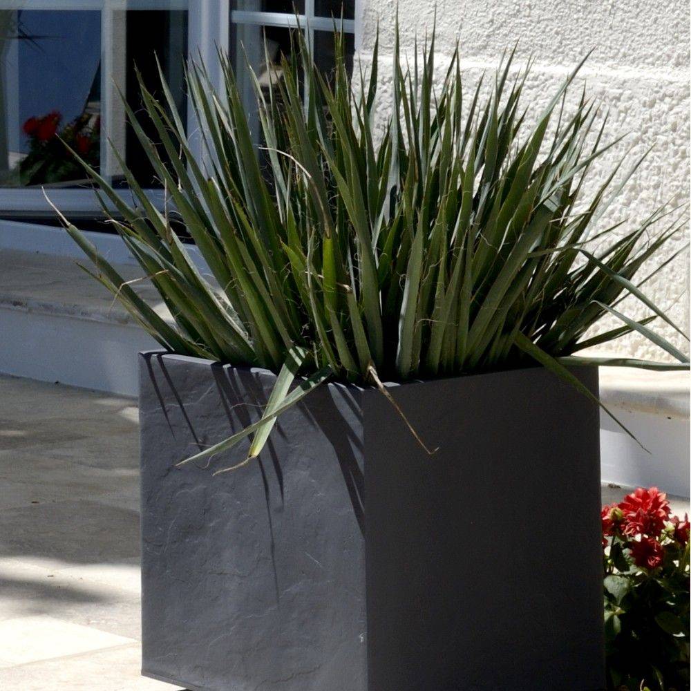 Pot Carré Volcania – EDA