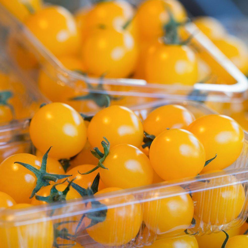 Tomate cerise 'Gold Nugget' - Image 4