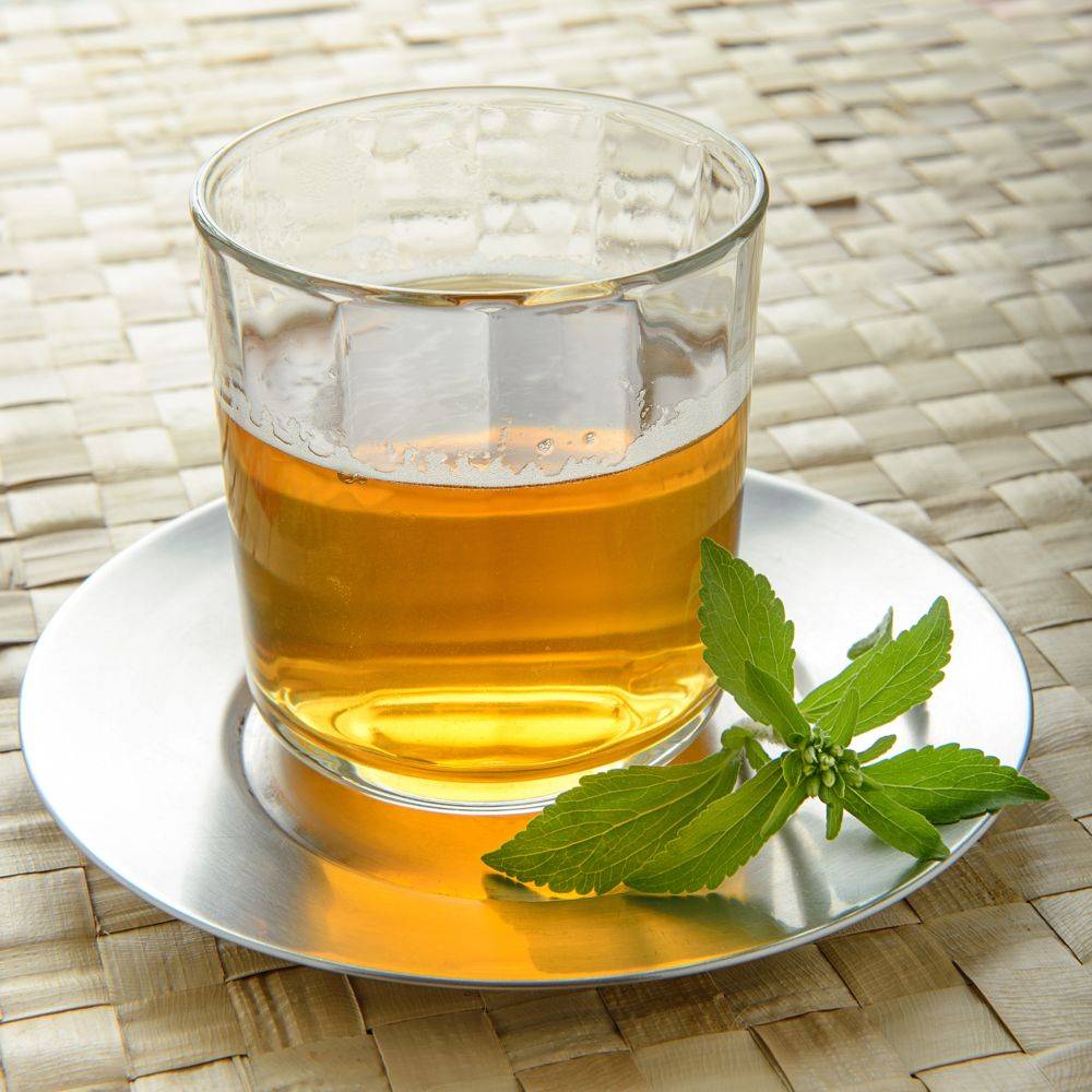 Stevia rebaudiana - Prêt à consommer - Image 1