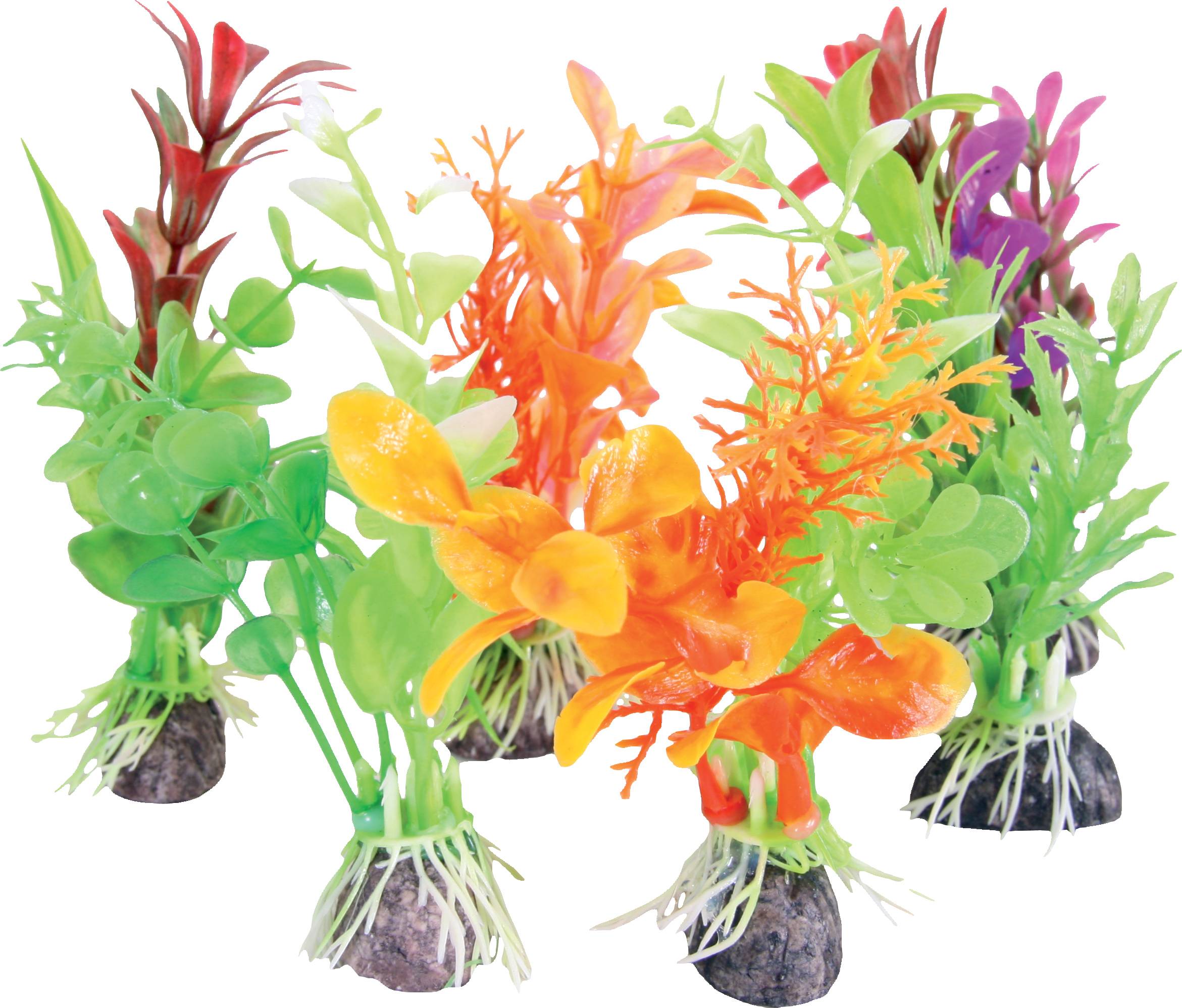 Zolux - Mini Plante Eco Plastique – ZOLUX