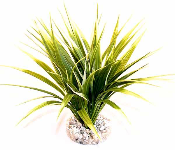 Herbe tropicale décoration plantes – TYROL - Image 1