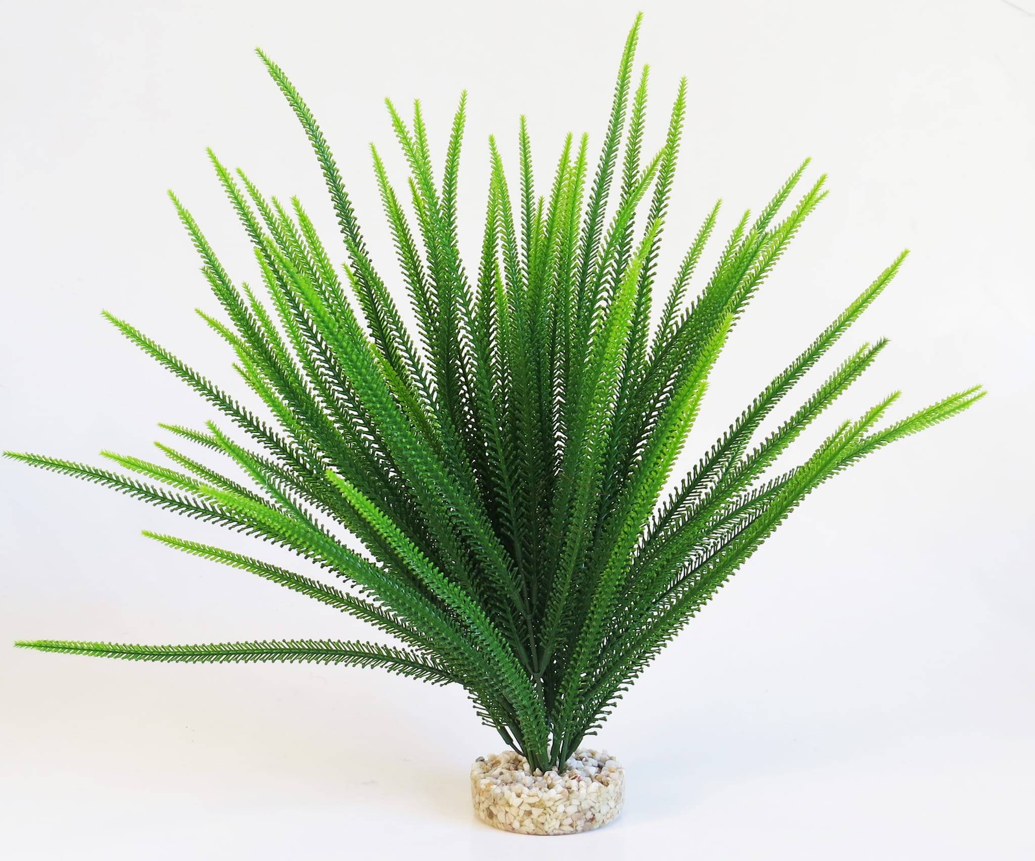 Plante Décorative Aquarium SYDECO