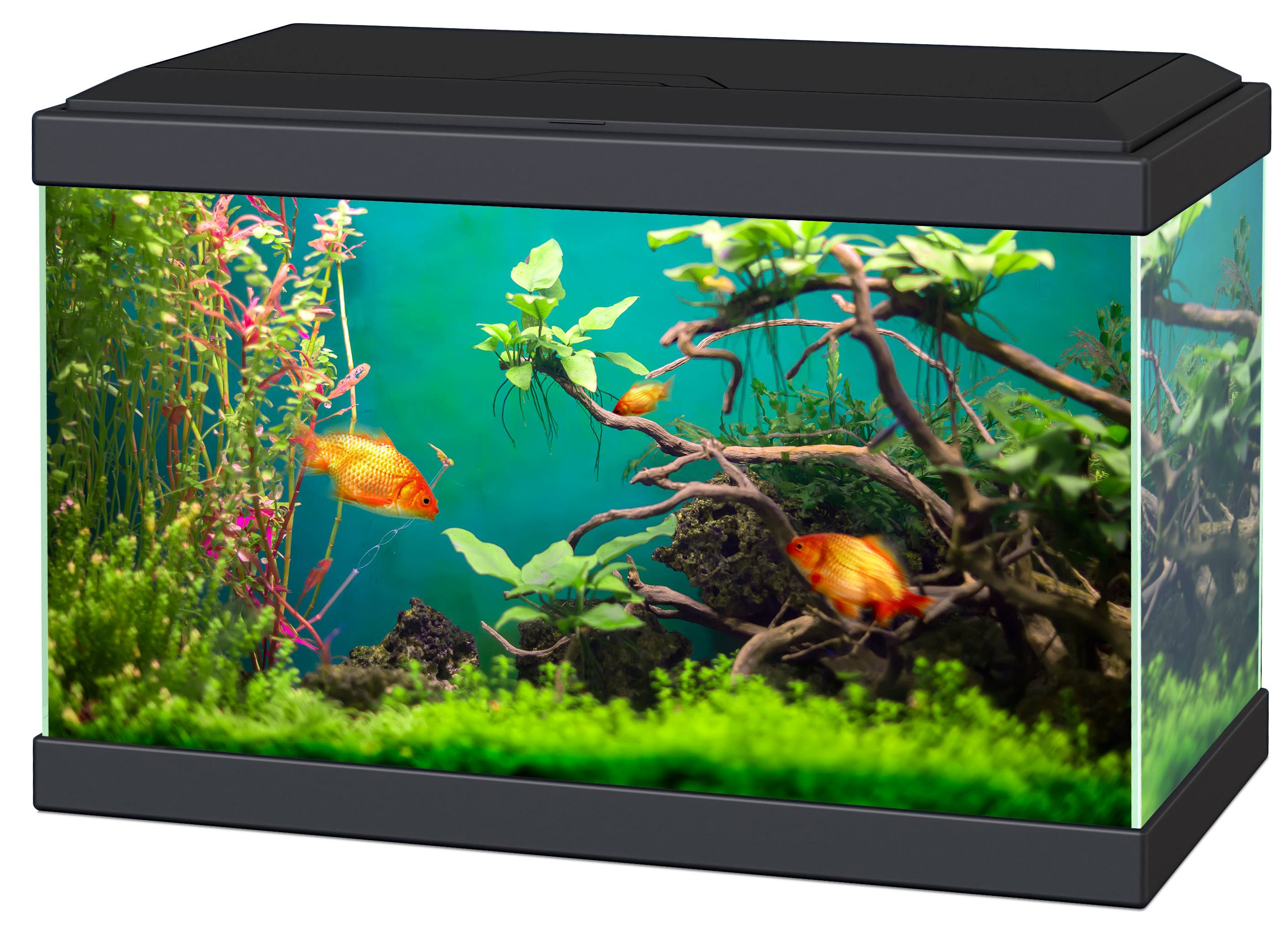 Aquarium 20 17 L 40x20x26 cm