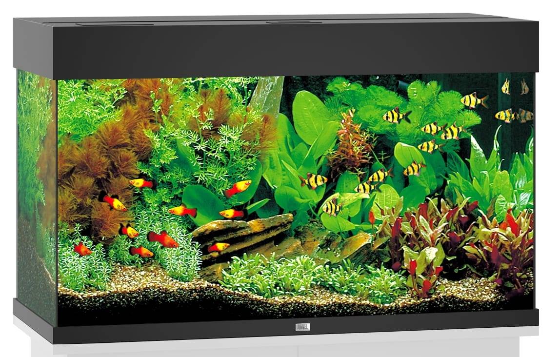 Aquarium LED Noir 125 L – JUWEL - Image 1