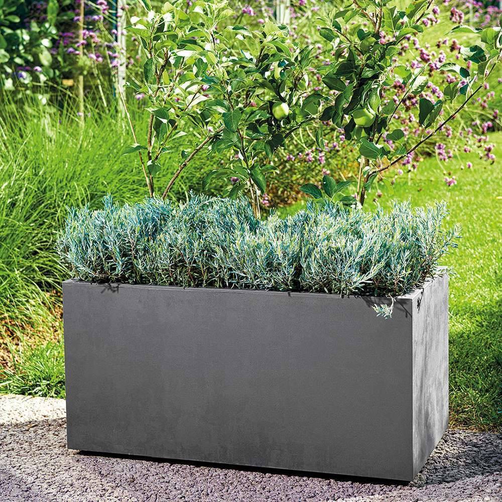 Deroma - Muret Jardinière Réserve d'Eau Plastique - DEROMA - Image 6