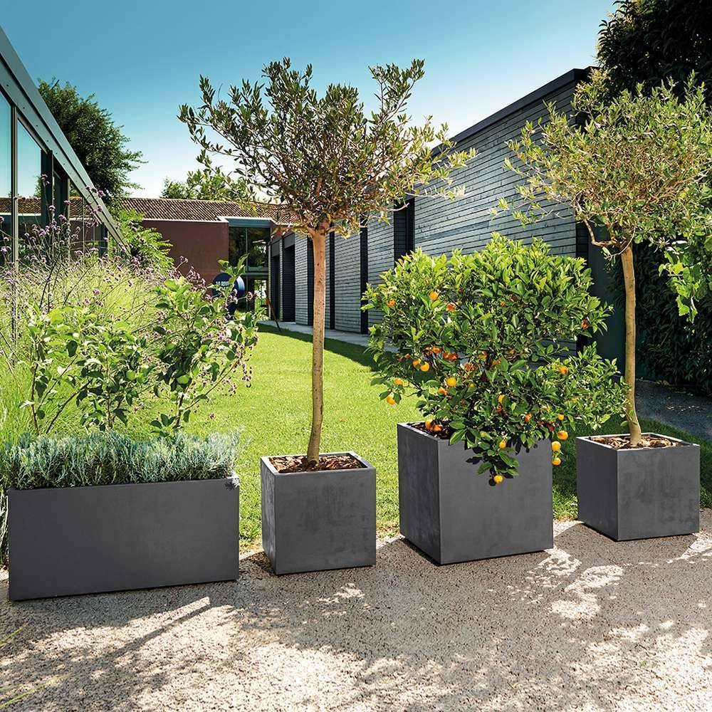 Deroma - Muret Jardinière Réserve d'Eau Plastique - DEROMA - Image 9