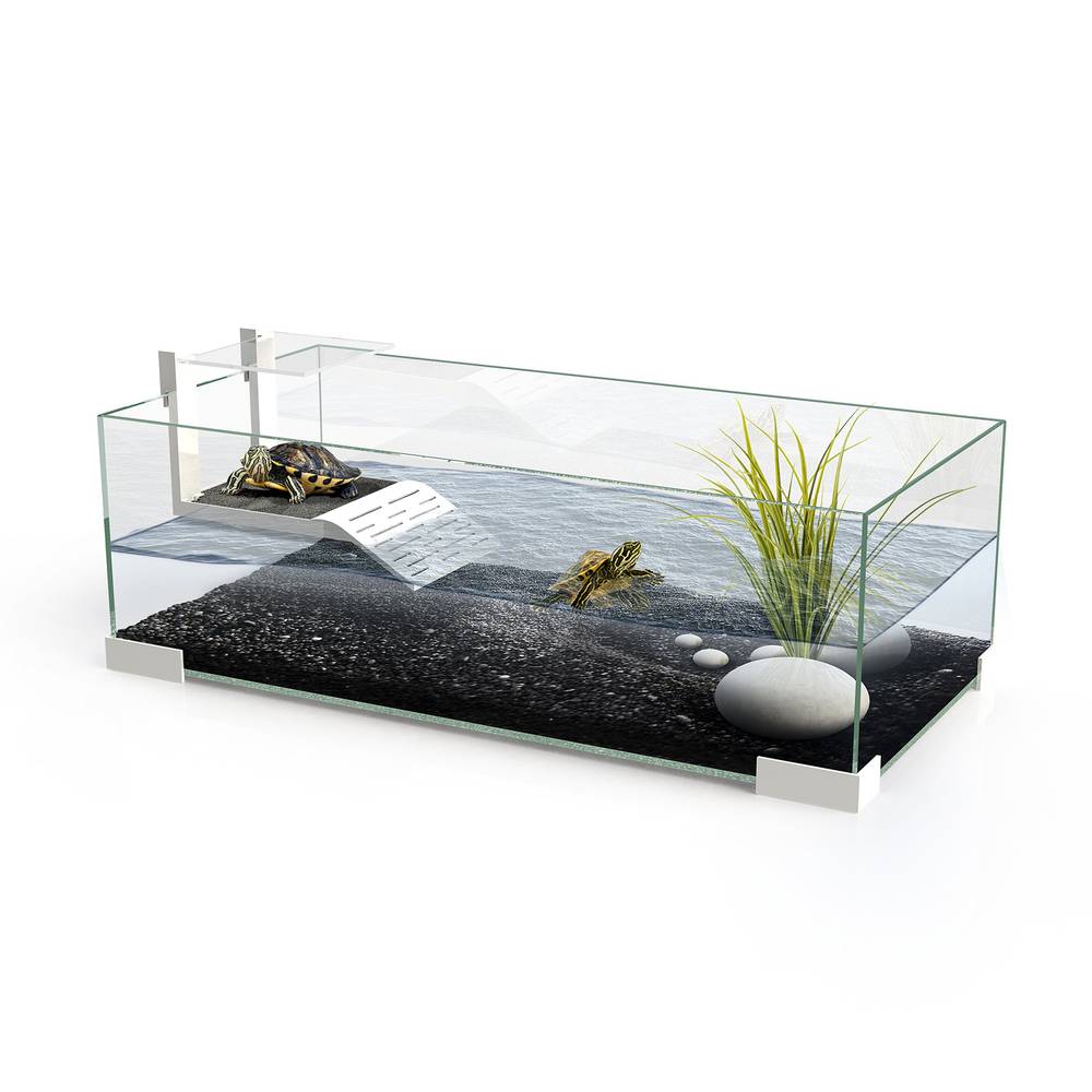 Tartarium Verre Blanc - CIANO - Image 1