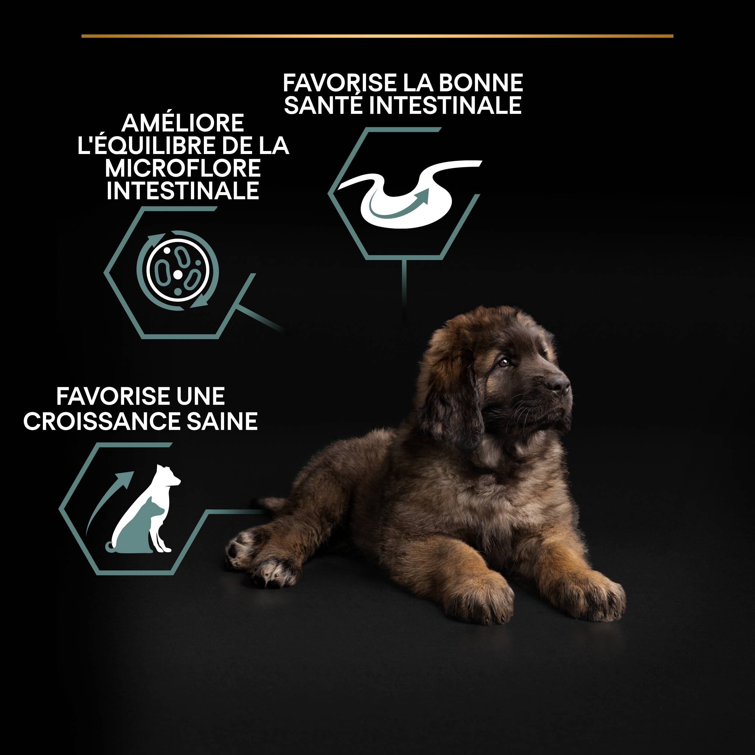 Purina Pro Plan - Croquettes chiot Digestion Difficile Agneau 12 kg - PRO PLAN - Image 7