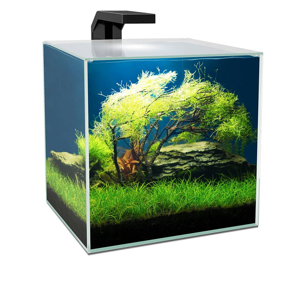 Ciano - Aquarium Cube Verre Transparent 14L – CIANO - Image 2
