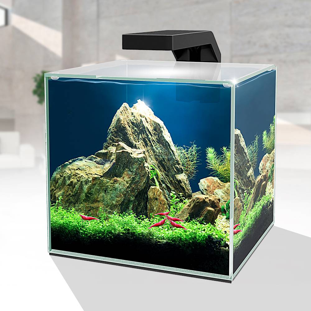 Ciano - Aquarium Cube Verre Transparent 14L – CIANO - Image 1
