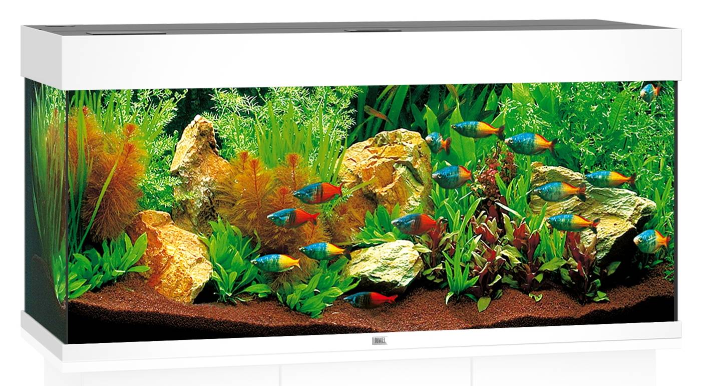 Aquarium LED RIO 180 L JUWEL - Image 1